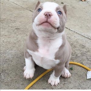 Meet your Posher, Ana